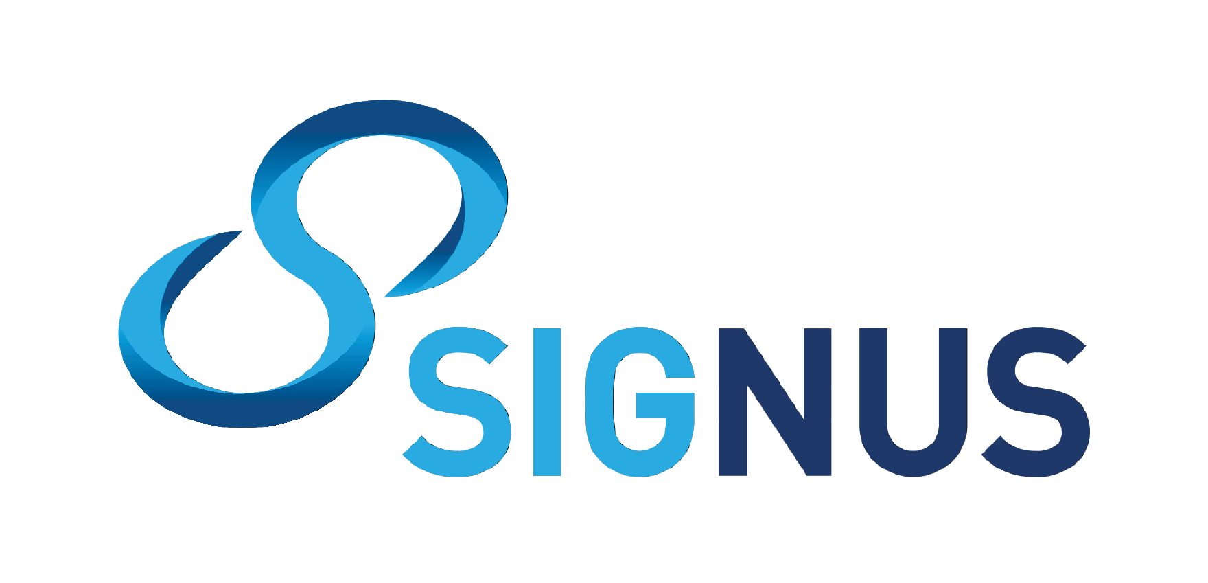 PT SINERGI NUSANTARA SENTOSA